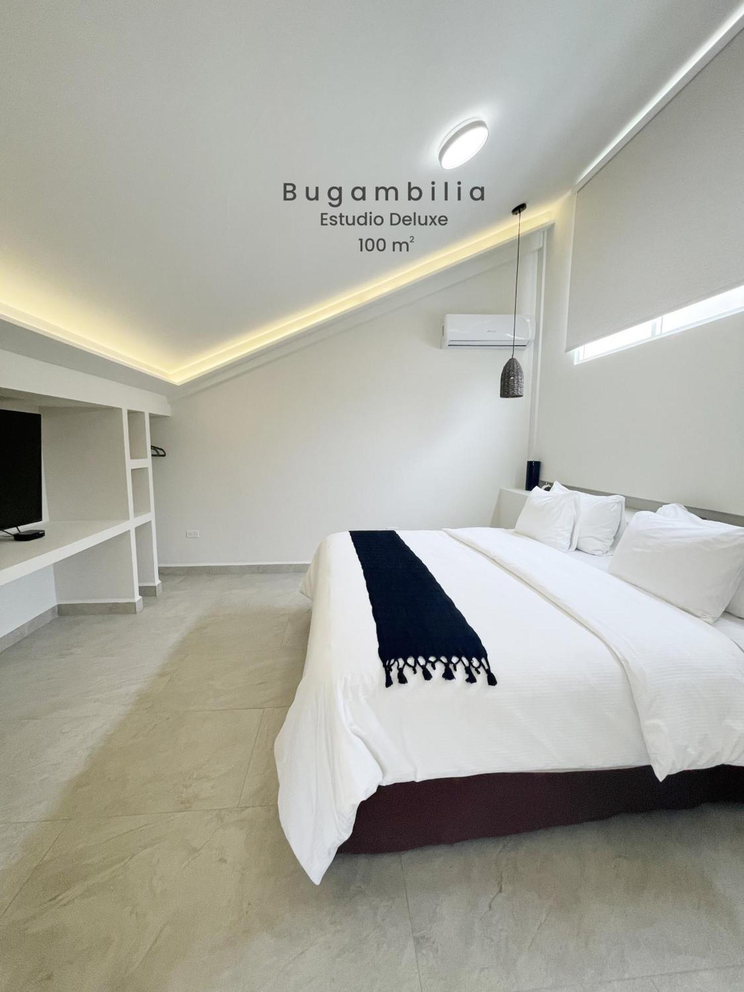 Marisol Hotel Boutique ซานโฮเซ เดล กาโบ ภายนอก รูปภาพ