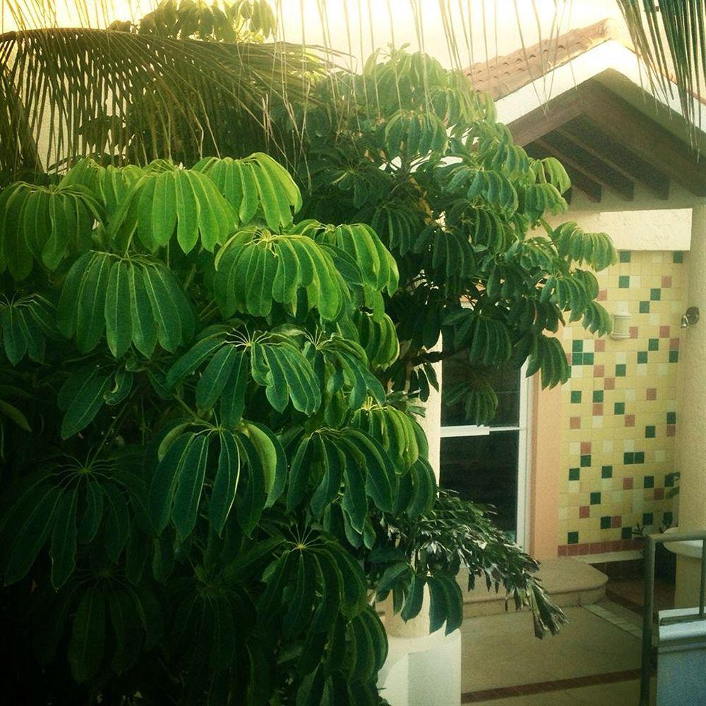 Marisol Hotel Boutique ซานโฮเซ เดล กาโบ ภายนอก รูปภาพ